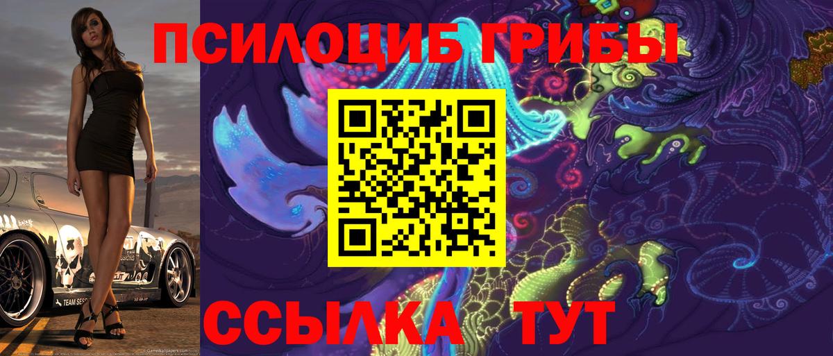 Псилоцибиновые грибы GOLDEN TEACHER Новочебоксарск